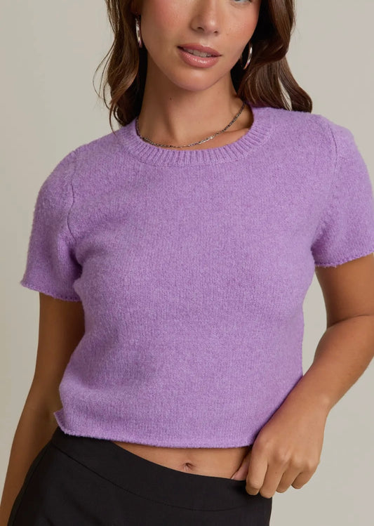 Pretty in Purple Sweater Top